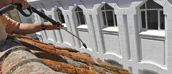 Nettoyage et démoussage de toiture Medou 65 à Mazeres
